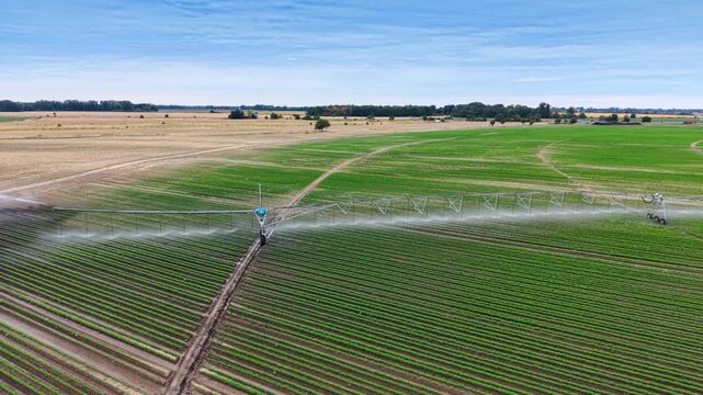 Automated field sprinkler watering green cultivated rows. A long metallic arm moves above farming land under a light blue sky.