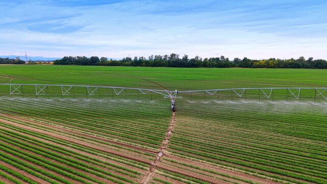 Wheel tower of agricultural irrigation system in field. Tire tracks cut through green crop furrows beneath suspended metal trusses.