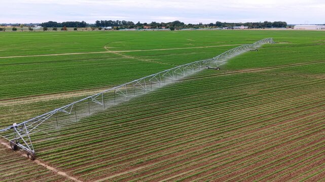 Aerial shot of irrigation boom watering green agricultural field. Wide drone view of long metallic sprinkler structure spraying water on planted rows under overcast sky.