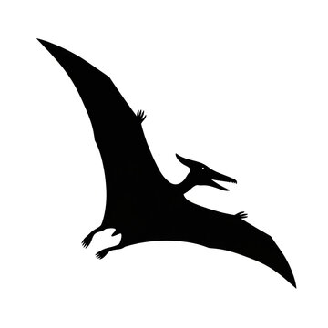 Black Silhouette of Flying Pterodactyl Pterosaur with Outstretched Wings Soaring Through the Sky, Prehistoric Flying Reptile Vector Illustration for Wildlife Themed Books, Posters, and Educational Des
