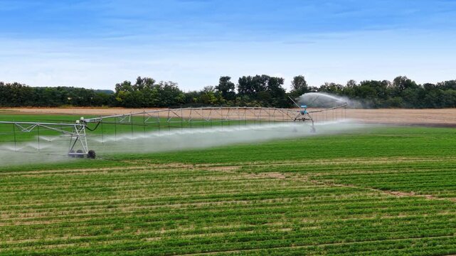 Irrigation machine spraying water mist on green agricultural field. Side view of mechanized irrigation system watering green agricultural plants on sunny day.
