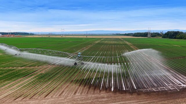 Aerial view of irrigation system watering green farm field. High angle shot of automated sprinkler system spraying water over agricultural crop rows.