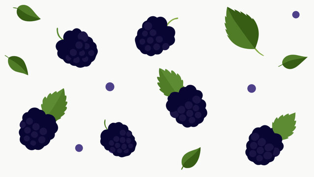 Fresh ripe blackberries with vibrant green leaves scattered on clean white background for organic food lifestyle health branding.