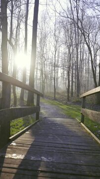 Wooden bridge taking you to tall forest with green lawn