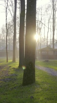 Fairy tale green park with tall trees and wooden village at sunset