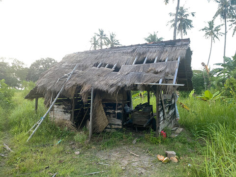Abandoned traditional wooden shed with makeshift ladder in a tropical coconut palm garden