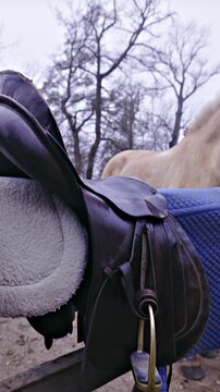 Saddle on wooden fence ready for saddling horse