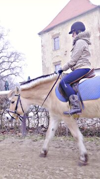 Equestrian riding fjord-horse on horseback inside manege