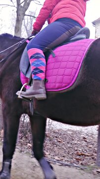 Person riding dark brown horse inside manege arena
