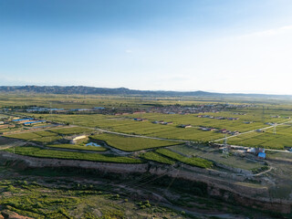 Naklejka premium Aerial view of vast green rice fields and distant mountains