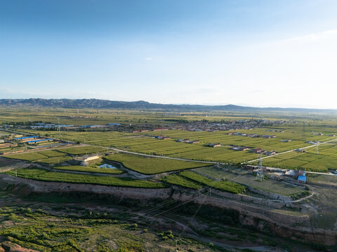 Aerial view of vast green rice fields and distant mountains