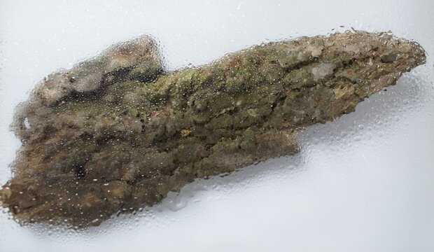 Detailed abstract texture of natural tree bark behind wet glass layer graphic resource