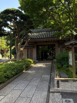Traditional Japanese temple gate surrounded by trees