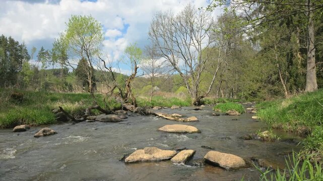 relaxing view on a flowing creek with nature sounds