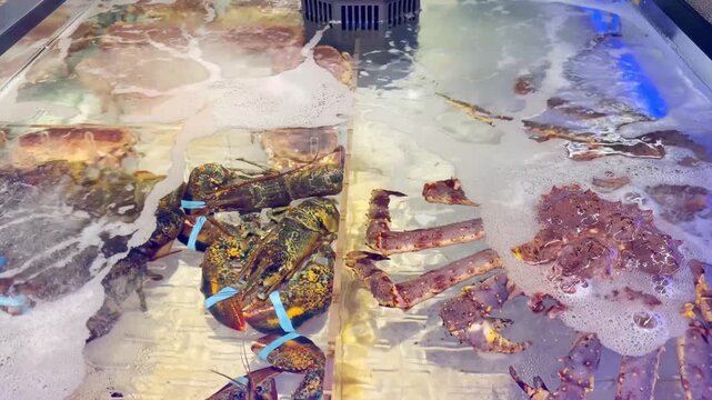 Supermarket Live Seafood Display &ndash; Fresh Crabs, Lobsters, Prawns, Mussels, Clams and Other Shellfish in Aerated Aquarium 
