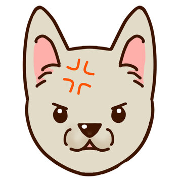 Cute angry cat face illustration