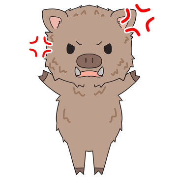 Cute angry wild boar cartoon character