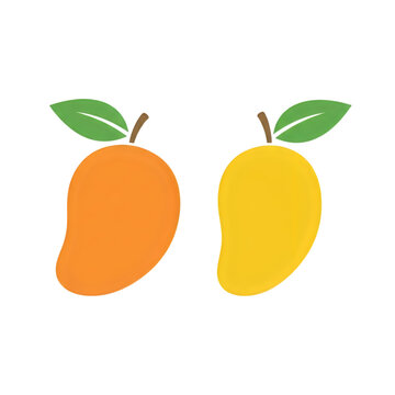 Two colorful mango fruits with green leaves isolated on transparent background transparent background