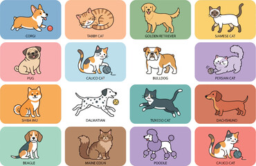 Fototapeta premium Set of cute cartoon dog and cat breeds collection with colorful labels for children education and pet shop design