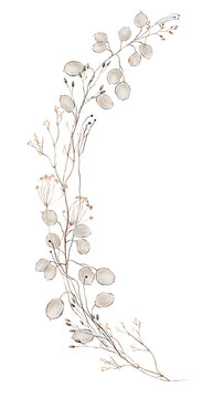 Hand painted watercolor dried flower bouquet with translucent lunaria honesty pods, dark seed buds, tan umbel florets and slender dried grasses in soft neutral beige isolated on white background