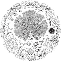 Fototapeta premium Sea Fan and Shell Illustration for Marine and Ocean Themes