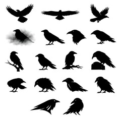 Fototapeta premium Halloween black raven silhouettes with moon and stars on a white background