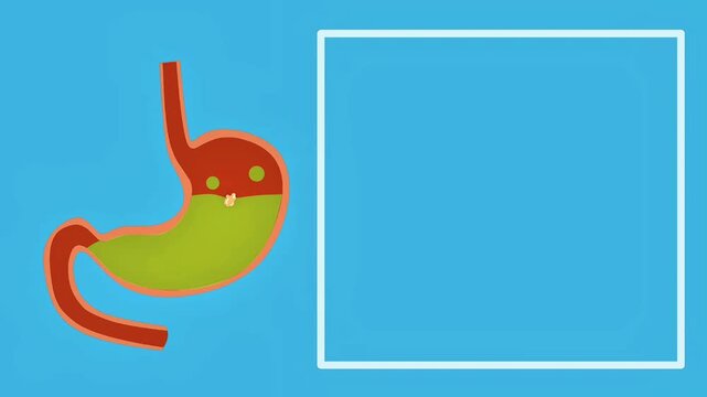 A 2D animated illustration showing food particles descending through the esophagus into the stomach. Features a minimal flat design on a blue background with a white copy space frame.
