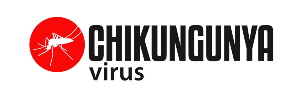 Logo Chikungunya with mosquito