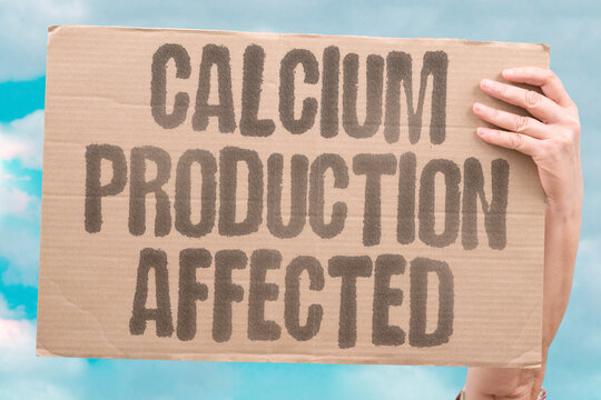 "Calcium production affected" Semaglutide disrupts bone calcium synthesis. CALCIUM. PRODUCTION. AFFECTED. SEMAGLUTIDE. BONE.