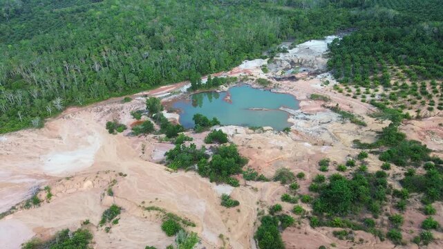 Young oil palm trees planted in neat rows over former open pit tin mine field aerial view