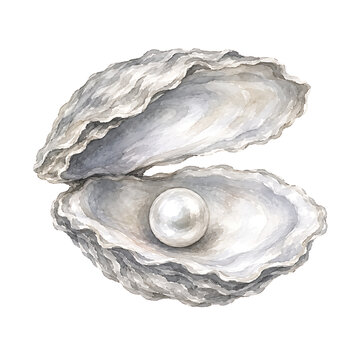 Watercolor art of an open oyster shell featuring a luminous pearl.