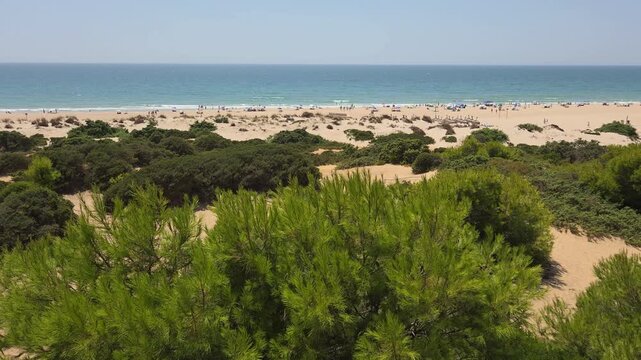 sand dunes that give access to La Barrosa beach in Sancti Petri, Cadiz, Spain