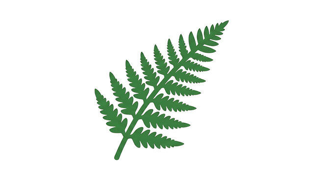 Minimalist flat vector icon of a delicate green fern frond with detailed, serrated leaflets arranged symmetrically.