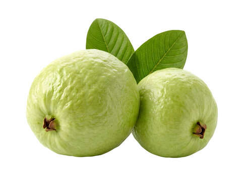 Two fresh green guava fruits with leaves isolated on transparent background