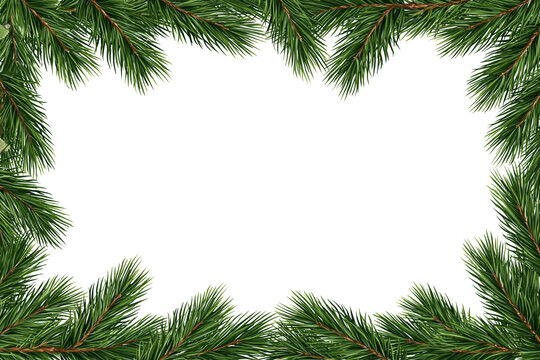 Pine Tree Branches Frame with Copy Space for Holiday Design