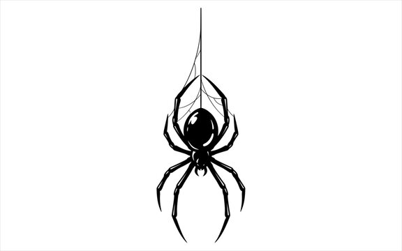 Black widow spider hanging from silk web thread in realistic high contrast vector illustration.