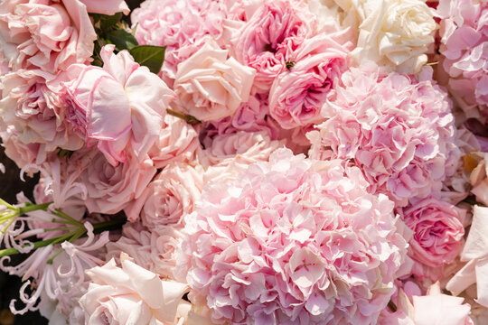 Full frame background of pastel pink hydrangeas and luxury roses