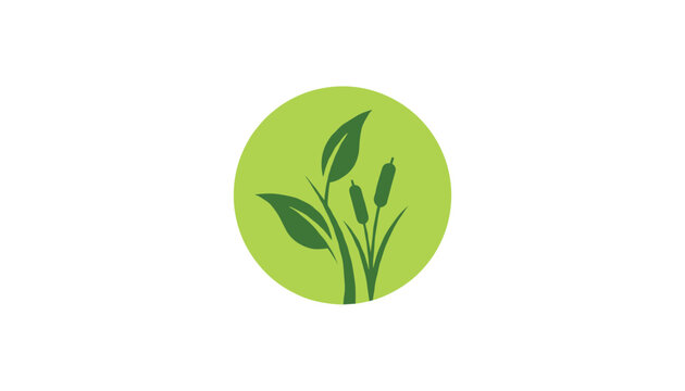 Eco friendly circular emblem with green leaves and bulrush cattails representing nature, wetland, and organic concept.