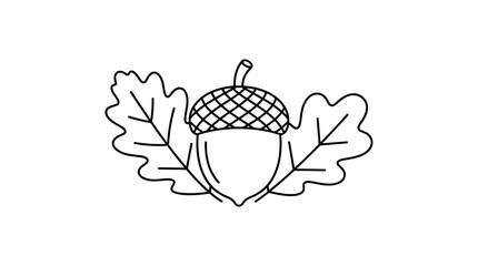 acorn and oak leaves © Murtajiz