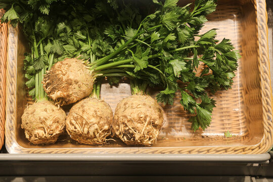 Fresh whole celeriac roots with leafy green tops inside wicker produce tray. Raw celery roots natural vegetables seasonal market food agriculture harvest and healthy nutrition background.