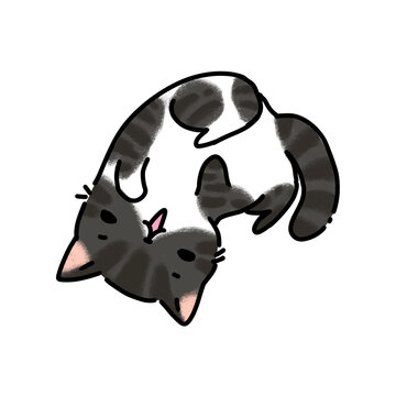Cute grey tabby cat lying on back playing, hand drawn illustration