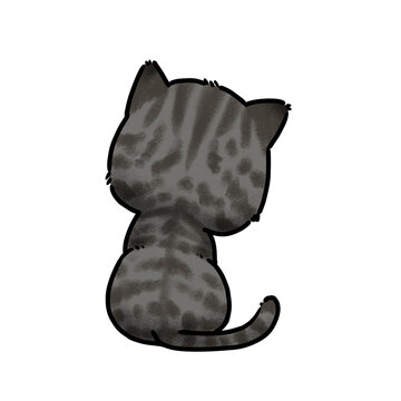 Cute grey tabby cat sitting back view, hand drawn illustration