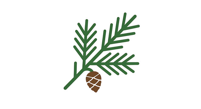 Minimalist flat vector icon of a green pine branch with needles and a single pinecone.