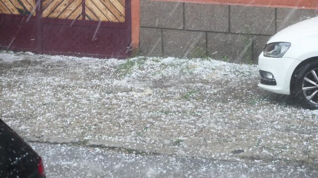 A hailstorm is a severe localized thunderstorm that produces solid lumps of ice known as hailstones.