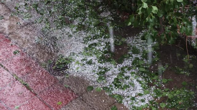 A hailstorm is a severe localized thunderstorm that produces solid lumps of ice known as hailstones.
