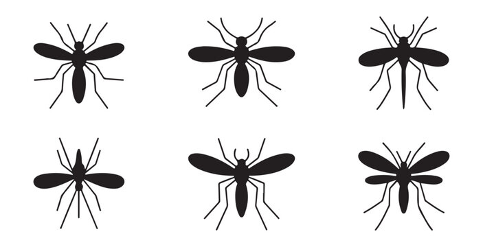 Mosquito silhouette collection features various stinging insect species for medical and health use.