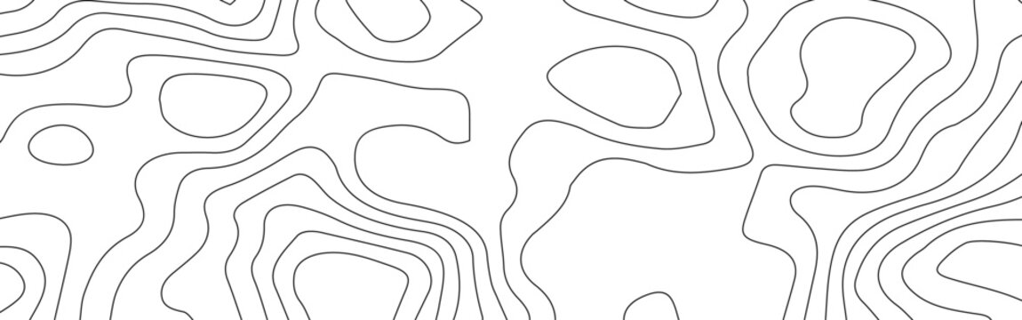 Abstract White Topographic Contour Background with Organic Black Elevation Lines. Abstract Terrain Contour Line Background with Organic Geometric Shapes.	