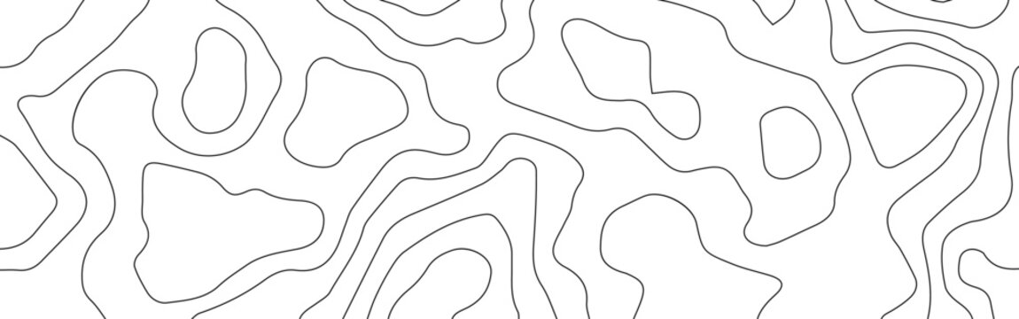 Abstract White Topographic Contour Background with Organic Black Elevation Lines. Abstract Terrain Contour Line Background with Organic Geometric Shapes.	