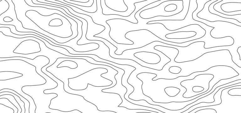 Abstract White Topographic Contour Background with Organic Black Elevation Lines. Abstract Terrain Contour Line Background with Organic Geometric Shapes.	