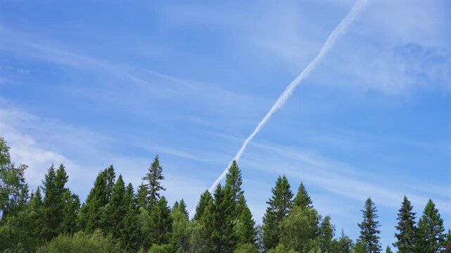 Mysterious White Trail Across Blue Sky Above Forest